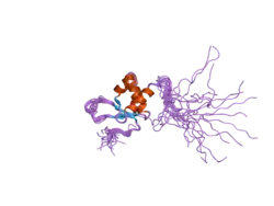2dk5: Solution structure of Winged-Helix domain in RNA polymerase III 39KDa polypeptide