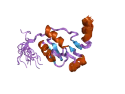 2e2w: Solution structure of the first BRCT domain of human DNA ligase IV
