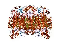 2eik: Cadmium ion binding structure of bovine heart cytochrome C oxidase in the fully reduced state