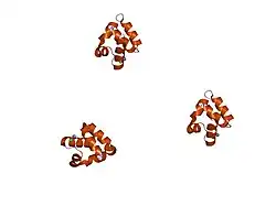 2f44: Crystal Structure of the Zinc-bound Shank SAM domain