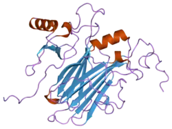 2ffk: Solution structure of the complex between poxvirus-encoded CC chemokine inhibitor vCCI and human MIP-1beta, minimized average structure