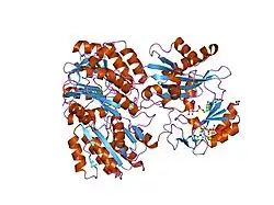 2fp4: Crystal structure of pig GTP-specific succinyl-CoA synthetase in complex with GTP