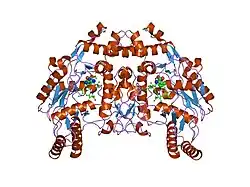 2g6o: Structure of bovine eNOS heme domain (BH4-free) complexed with CO