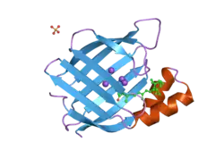 2g79: Crystal Structure of the R132K:Y134F Mutant of Cellular Retinoic Acid Binding Protein Type II in Complex with All-Trans-Retinal at 1.69 Angstroms Resolution