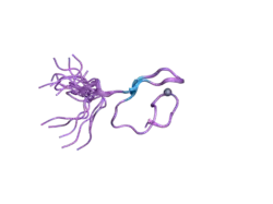 2gqe: Molecular characterization of the Ran binding zinc finger domain
