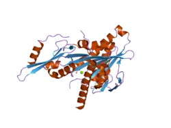 2gry: Crystal structure of the human KIF2 motor domain in complex with ADP