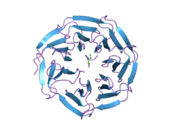 2h13: Crystal structure of WDR5/histone H3 complex