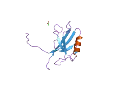 2h2b: Crystal Structure of ZO-1 PDZ1 Bound to a Phage-Derived Ligand (WRRTTYL)
