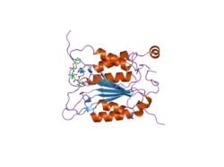 2hbr: Crystal structure of human caspase-1 (Arg286->Ala) in complex with 3-[2-(2-benzyloxycarbonylamino-3-methyl-butyrylamino)-propionylamino]-4-oxo-pentanoic acid (z-VAD-FMK)