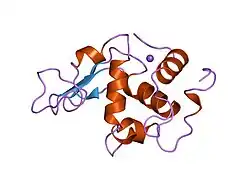 2hed: CONTRIBUTION OF WATER MOLECULES IN THE INTERIOR OF A PROTEIN TO THE CONFORMATIONAL STABILITY