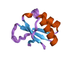 2hh2: Solution structure of the fourth KH domain of KSRP