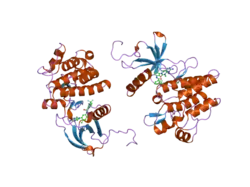 2hiw: Crystal Structure of Inactive Conformation Abl Kinase Catalytic Domain Complexed with Type II Inhibitor