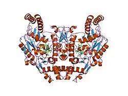 2hx4: Rat nNOS heme domain complexed with 4-N-(Nw-nitro-L-argininyl)-trans-4-hydroxyamino-L-proline amide
