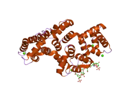 2hyv: Human Annexin A2 with heparin hexasaccharide bound
