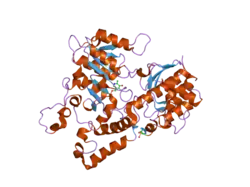 2hzp: Crystal Structure of Homo Sapiens Kynureninase