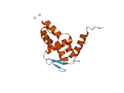 2if5: Structure of the POZ domain of human LRF, a master regulator of oncogenesis