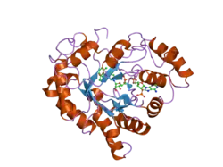 2is7: Crystal Structure of Aldose Reductase complexed with Dichlorophenylacetic acid