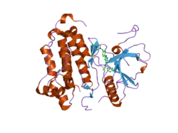 2itt: CRYSTAL STRUCTURE OF EGFR KINASE DOMAIN L858R MUTATION IN COMPLEX WITH AEE788
