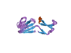 2iz3: SOLUTION STRUCTURE OF HUMAN AND PORCINE BETA-MICROSEMINOPROTEIN