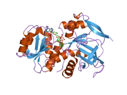 2j8z: CRYSTAL STRUCTURE OF HUMAN P53 INDUCIBLE OXIDOREDUCTASE (TP53I3,PIG3)