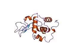 2mef: CONTRIBUTION OF HYDROPHOBIC EFFECT TO THE CONFORMATIONAL STABILITY OF HUMAN LYSOZYME