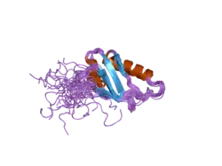 2nlw: Solution structure of the RRM domain of human eukaryotic initiation factor 3b