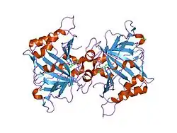 2nn7: Structure of inhibitor binding to Carbonic Anhydrase I
