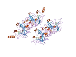 2o8j: Human euchromatic histone methyltransferase 2