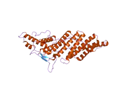 2oew: Structure of ALIX/AIP1 Bro1 Domain