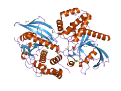 2pa5: Crystal structure of human protein tyrosine phosphatase PTPN9