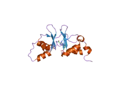 2uv5: CRYSTAL STRUCTURE OF A CBS DOMAIN PAIR FROM THE REGULATORY GAMMA1 SUBUNIT OF HUMAN AMPK IN COMPLEX WITH AMP