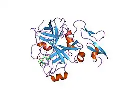 2uwo: SELECTIVE AND DUAL ACTION ORALLY ACTIVE INHIBITORS OF THROMBIN AND FACTOR XA