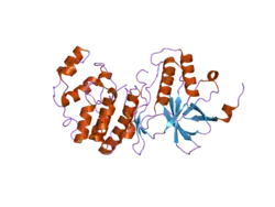 3coi: Crystal structure of p38delta kinase