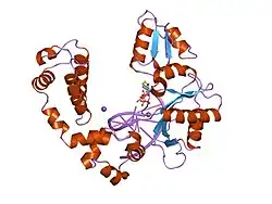 9icr: DNA POLYMERASE BETA (E.C.2.7.7.7)/DNA COMPLEX + 2'-DEOXYCYTIDINE-5'-TRIPHOSPHATE, SOAKED IN THE PRESENCE OF DCTP AND MNCL2