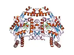 9nse: BOVINE ENDOTHELIAL NITRIC OXIDE SYNTHASE, ETHYL-ISOSELENOUREA COMPLEX