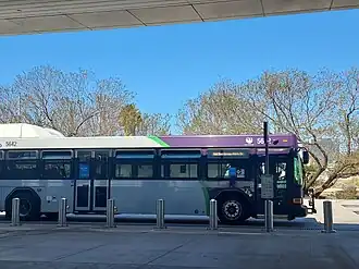 Phoenix-owned bus (2019-present)