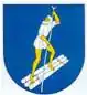 Coat of arms of Miejsce