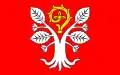 Flag of Gmina Radwanice
