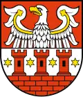 Międzychód County
