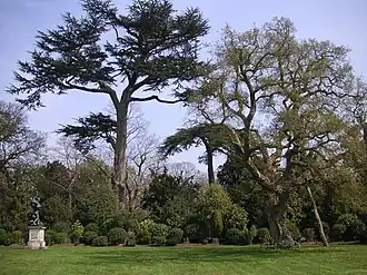 The central lawn of the Amphitheatre, the setting of the Sabine Group