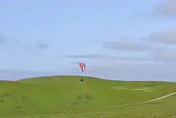 Paragliding in the park