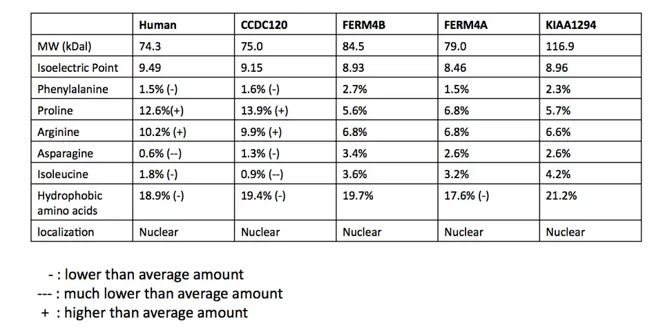 Physical properties of potential paralogs