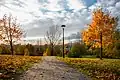 Autumn in Środula Park
