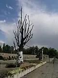 Memorial tree