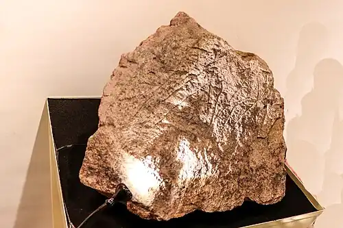 Carved stone from the Iberian settlement of Les Maleses