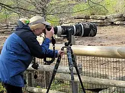Professional photographer taking nature photos at the zoo.