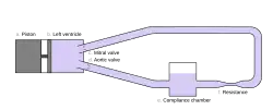 A simplified diagram of a common pulse duplicator design.