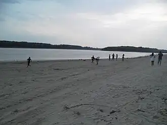 The Danube at Gostinu