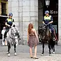 Police horses at the square
