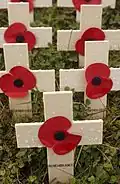 Remembrance crosses